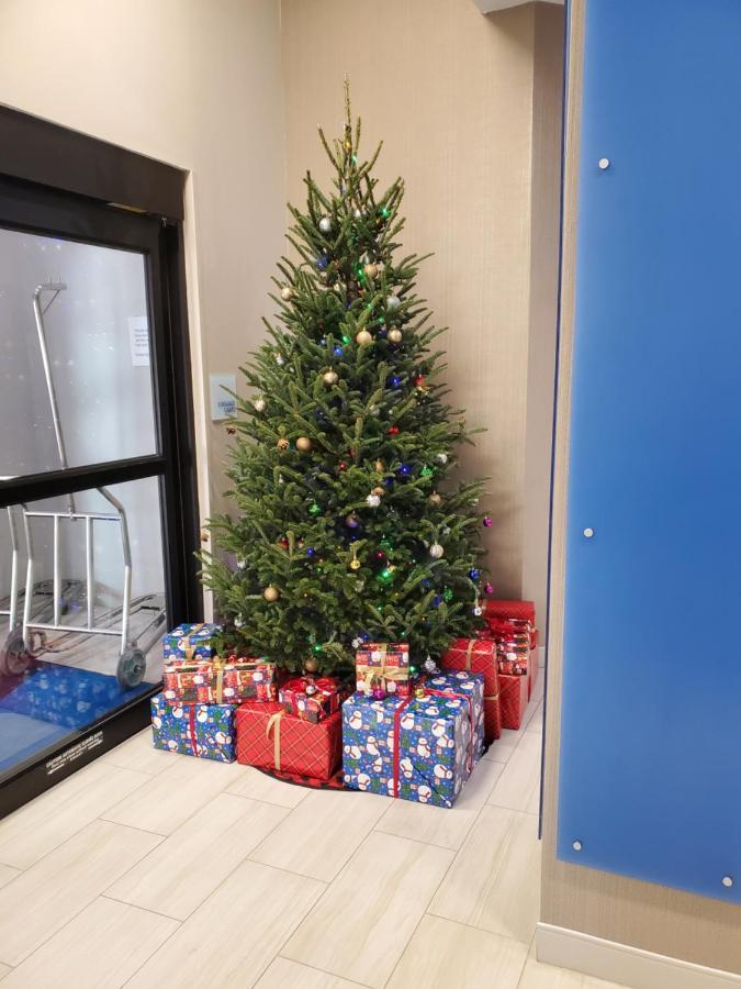 Holiday Inn Express St. Augustine - Vilano Beach By Ihg エクステリア 写真