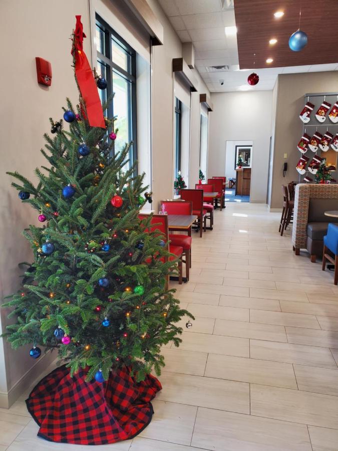 Holiday Inn Express St. Augustine - Vilano Beach By Ihg エクステリア 写真